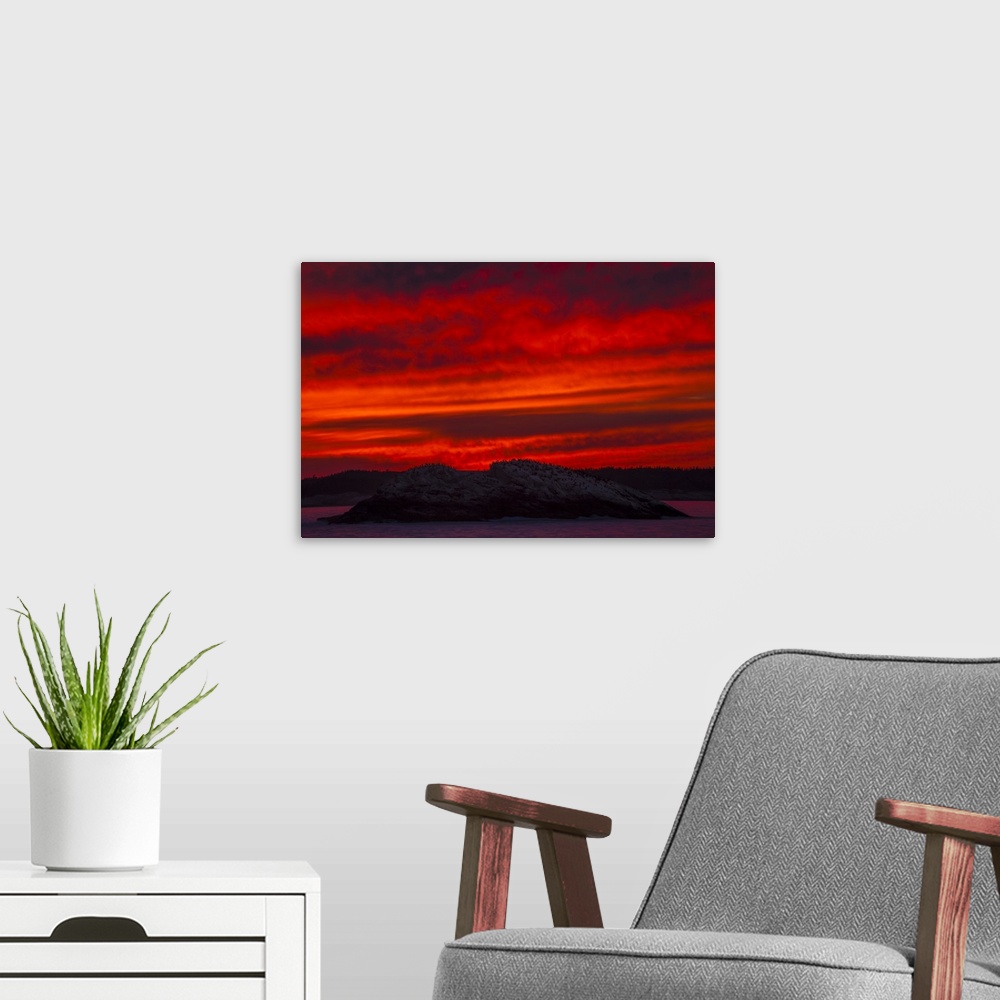 A modern room featuring A Blazing Red Sky At Sunset Silhouettes Hundreds Of Commorant Seabirds On A Rocky Island As Seen ...