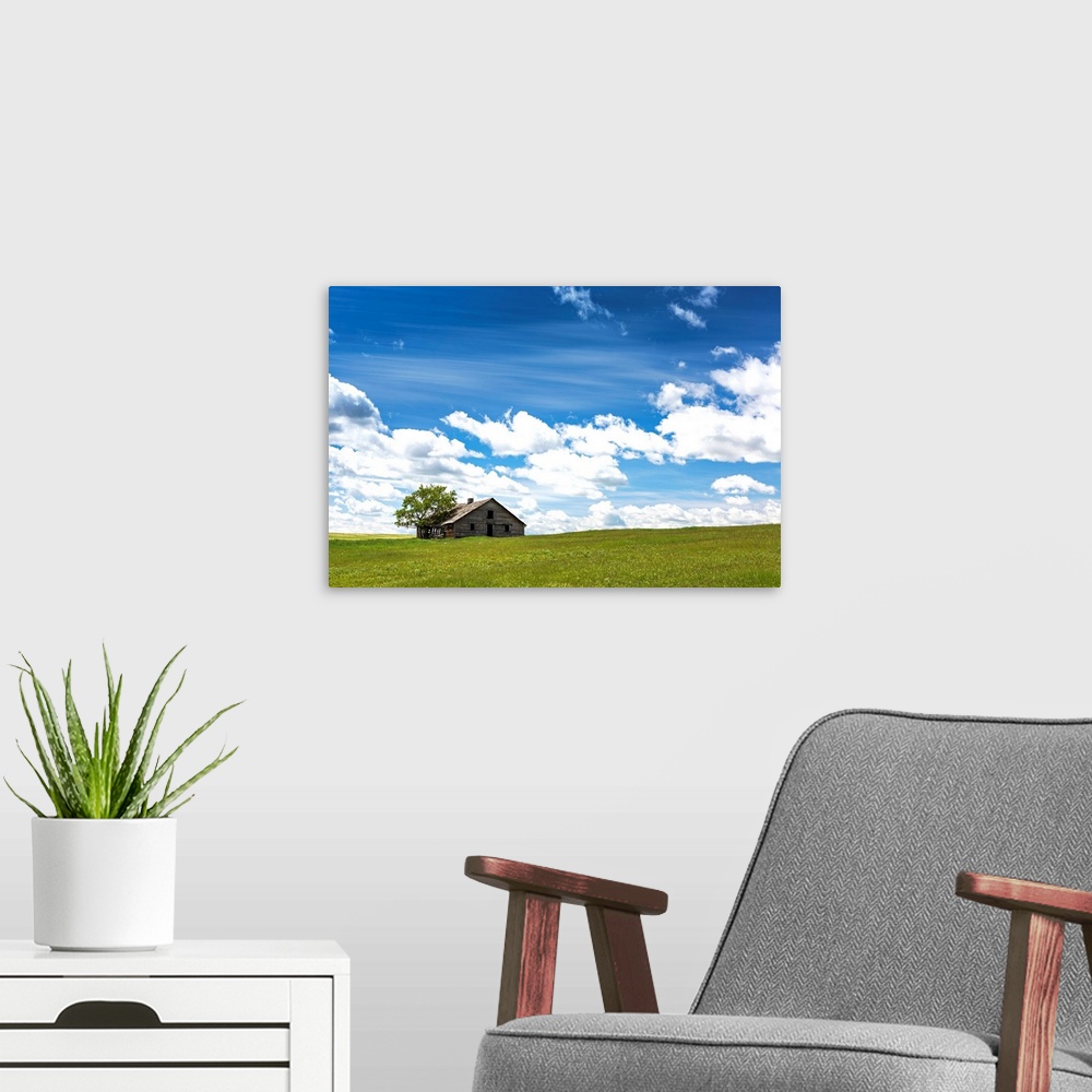 A modern room featuring An old wooden building with one tree in a rolling grassy field with clouds and blue sky, West of ...