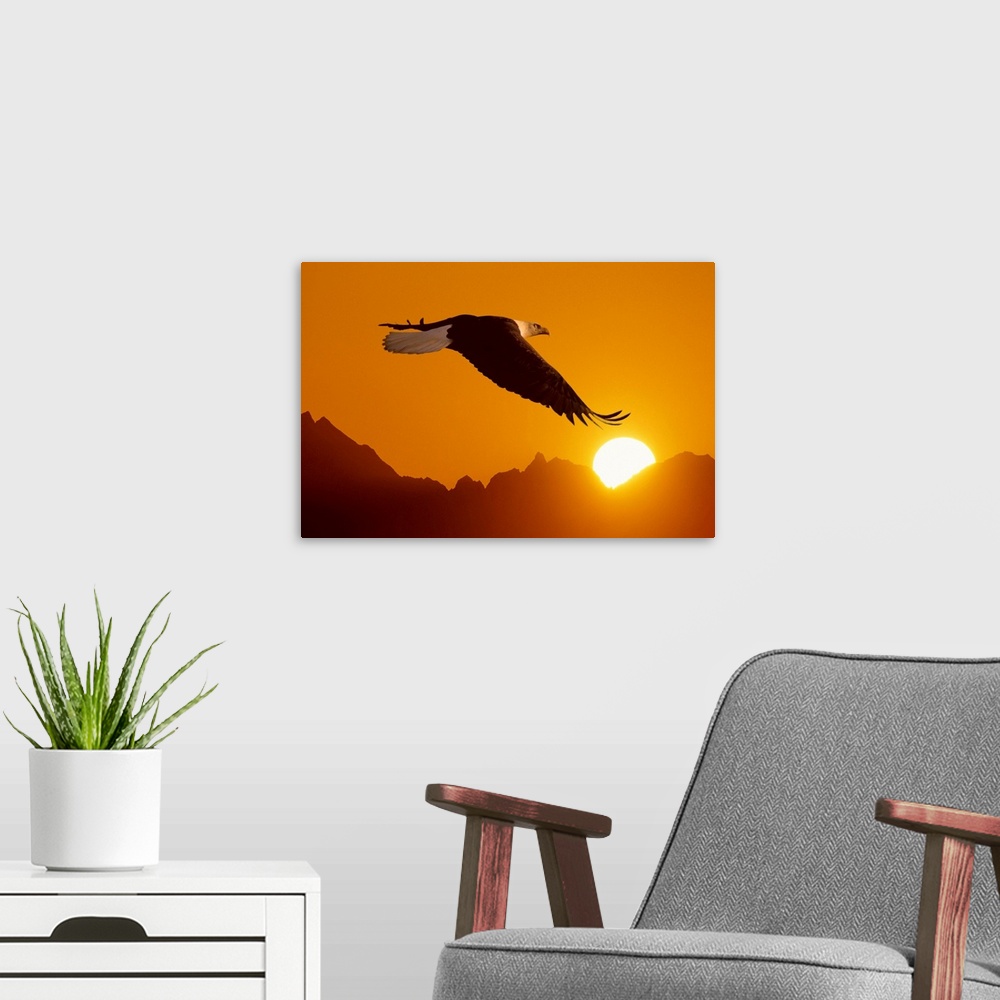 A modern room featuring Big close-up photograph of a bird flying set against a silhouetted backdrop of a mountain range c...