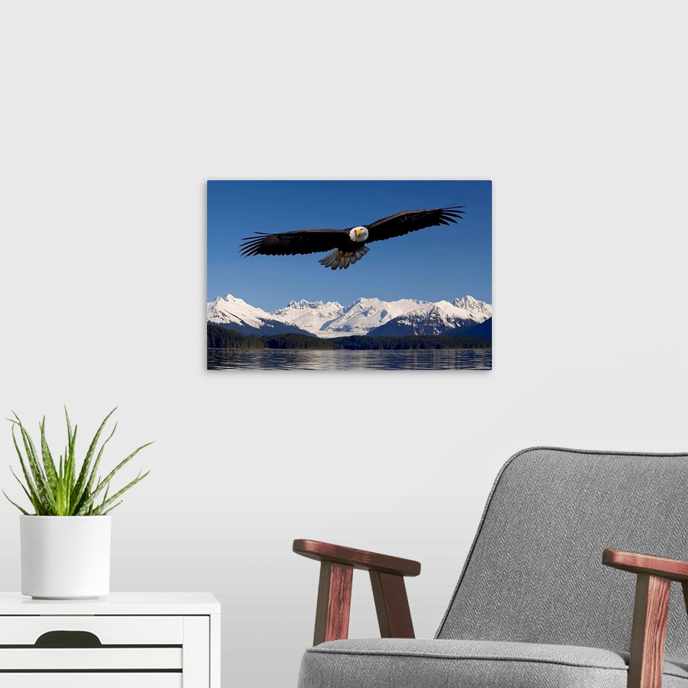 A modern room featuring Photo print of an eagle with wide wing span flying over water with snowy rugged mountains in the ...
