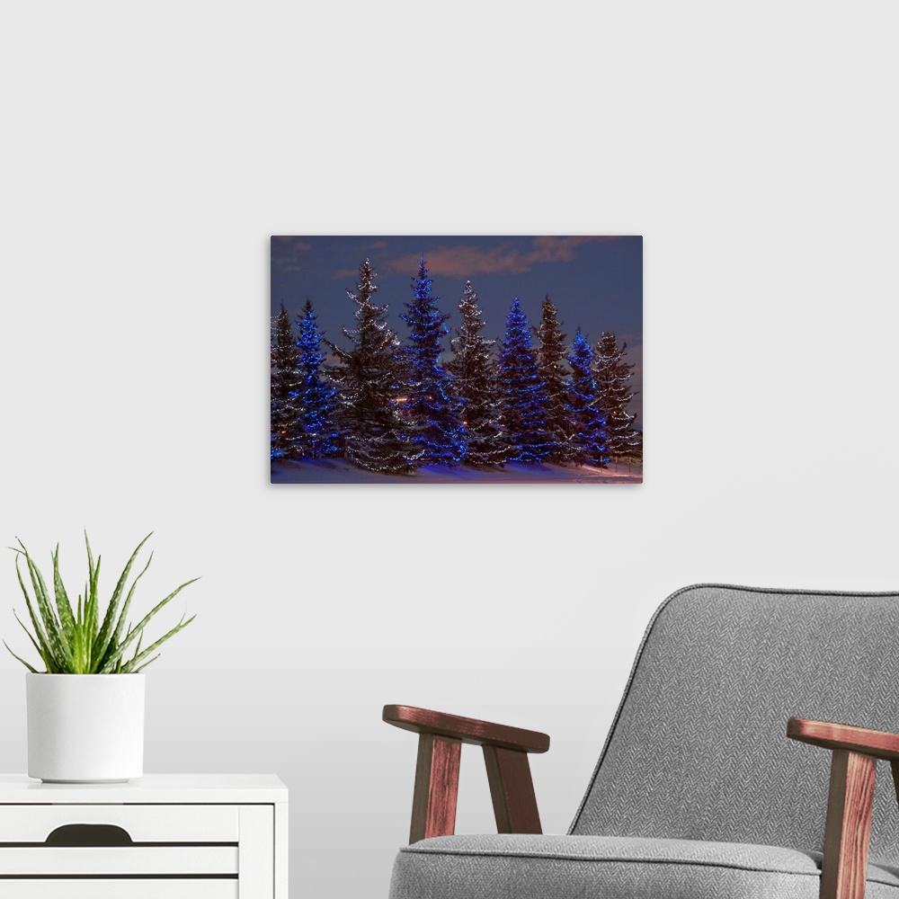 A modern room featuring Calgary, Alberta, Canada, A Row Of Evergreen Trees With Christmas Lights