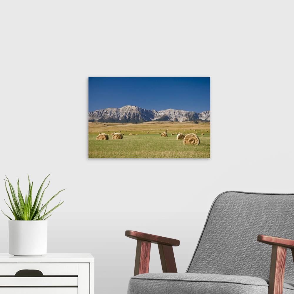A modern room featuring Field Of Hay Bales, Alberta, Canada