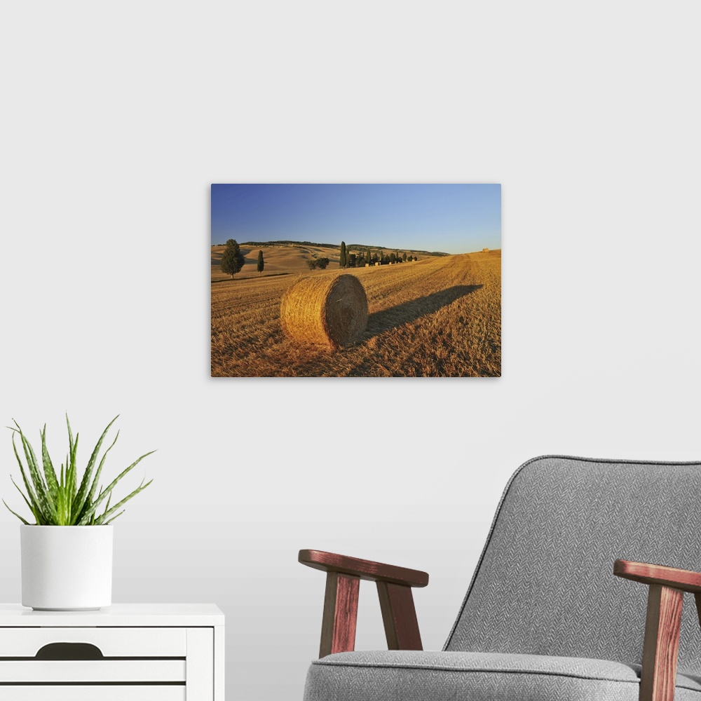 A modern room featuring Hay Bale, Province of Siena, Tuscany, Italy