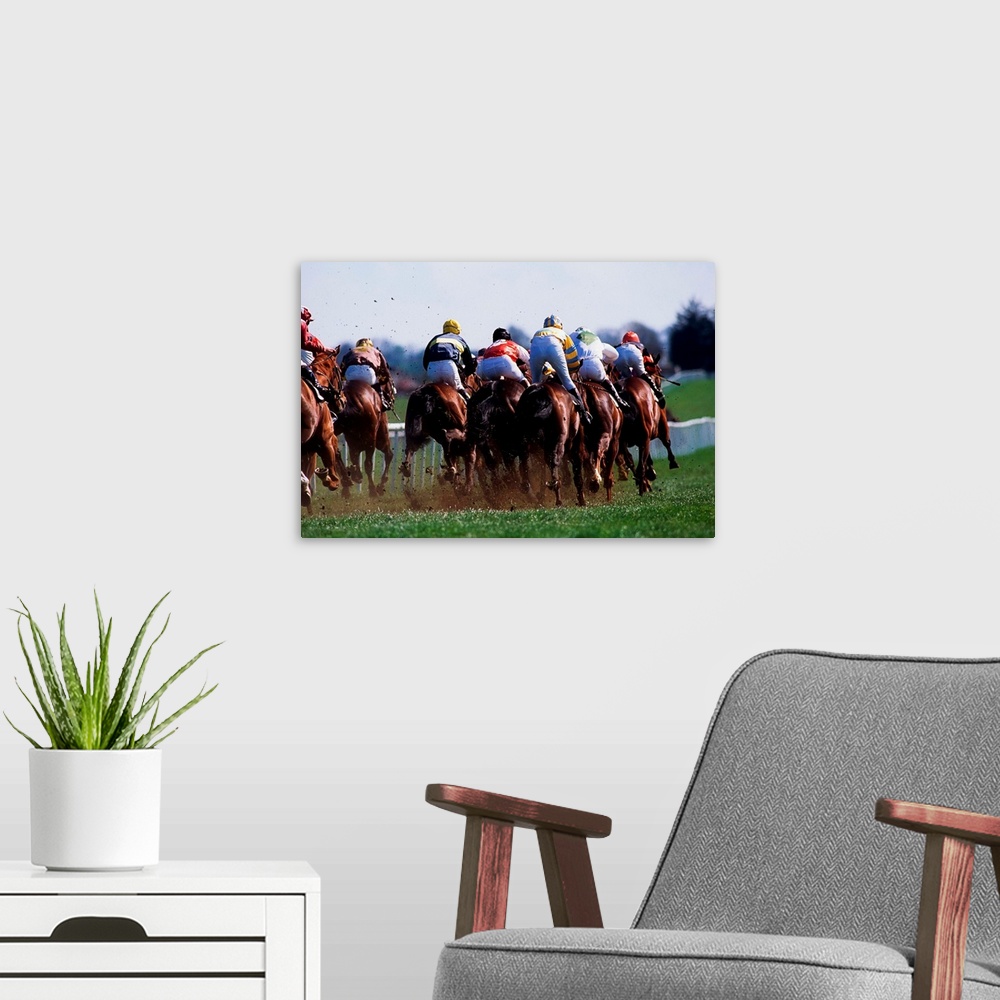 A modern room featuring Horse Racing, Rear View Of Horses Racing