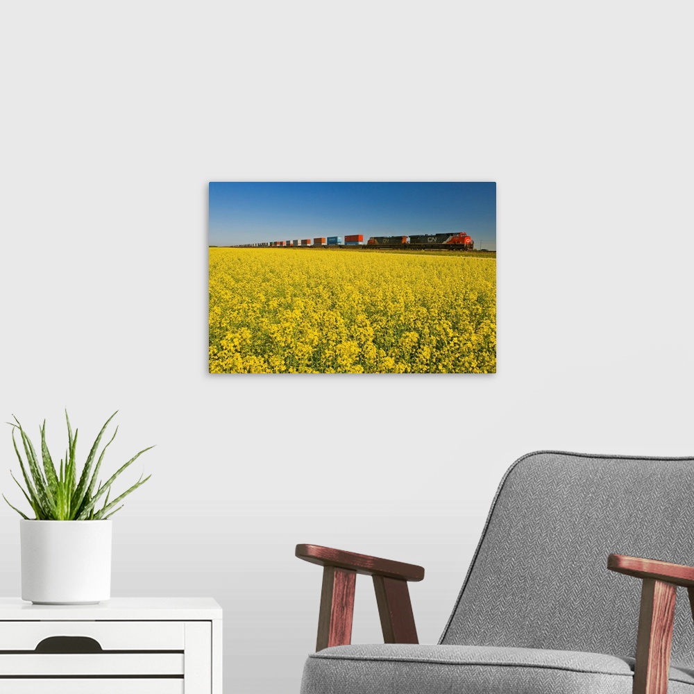 A modern room featuring Rail Cars Carrying Containers Passe A Canola Field, Manitoba, Canada