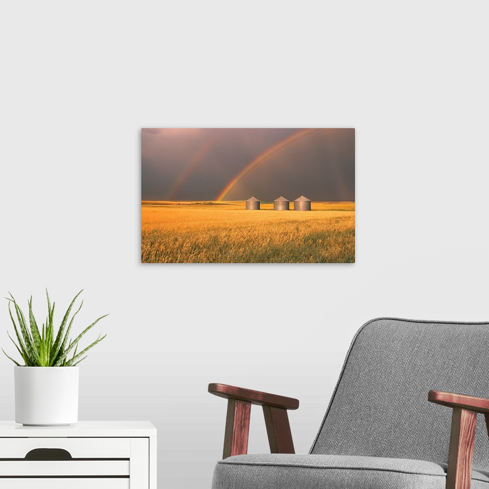 A modern room featuring Rainbow Over Wheat Field, Alberta, Canada