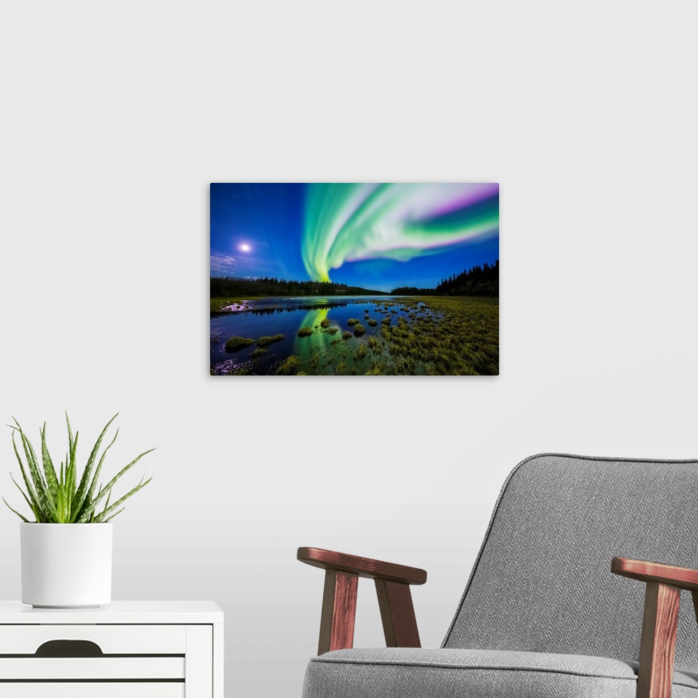 A modern room featuring The aurora borealis competes against the moon in the night sky above a partially-thawed beaver po...