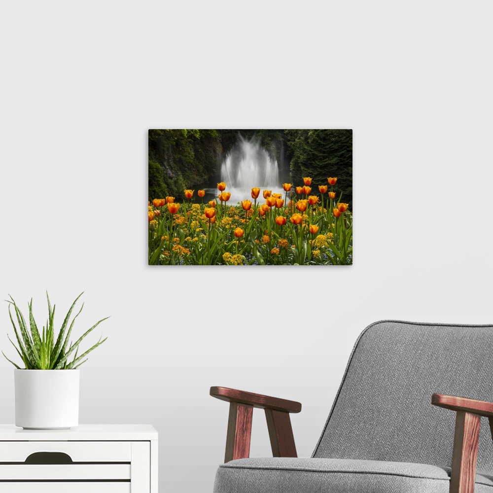 A modern room featuring Water Fountain And Tulips At Butchart Gardens; Victoria, British Columbia, Canada