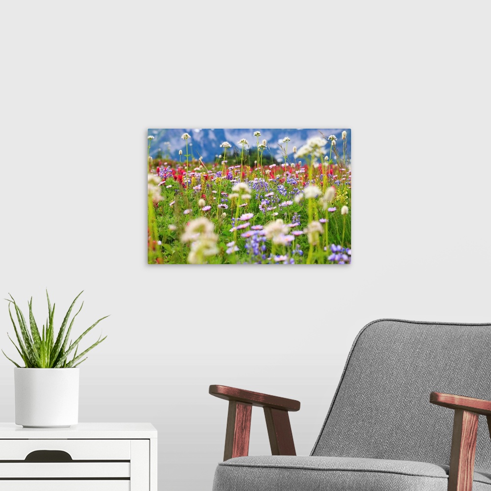 A modern room featuring Wildflowers In A Meadow In Mt. Rainier National Park, Washington