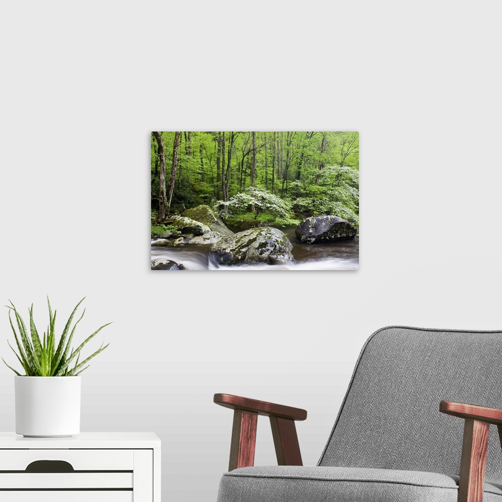 A modern room featuring Thick forest lines the back of this photograph which has rushing water flowing over and in betwee...