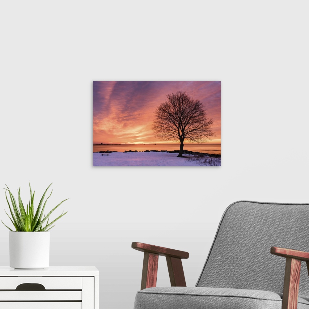 A modern room featuring Landscape photograph of a snow covered shore with a silhouette of a bare tree and a beautiful sun...