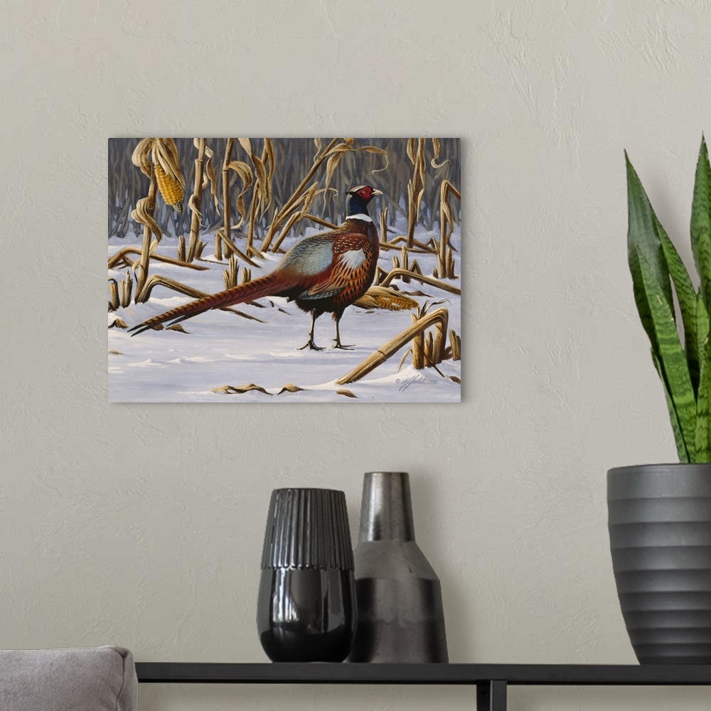 A modern room featuring Ringnecked pheasant walking through a snowy field.