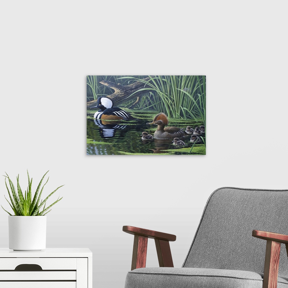 A modern room featuring Ducks floating by tall water grass and lily pads.