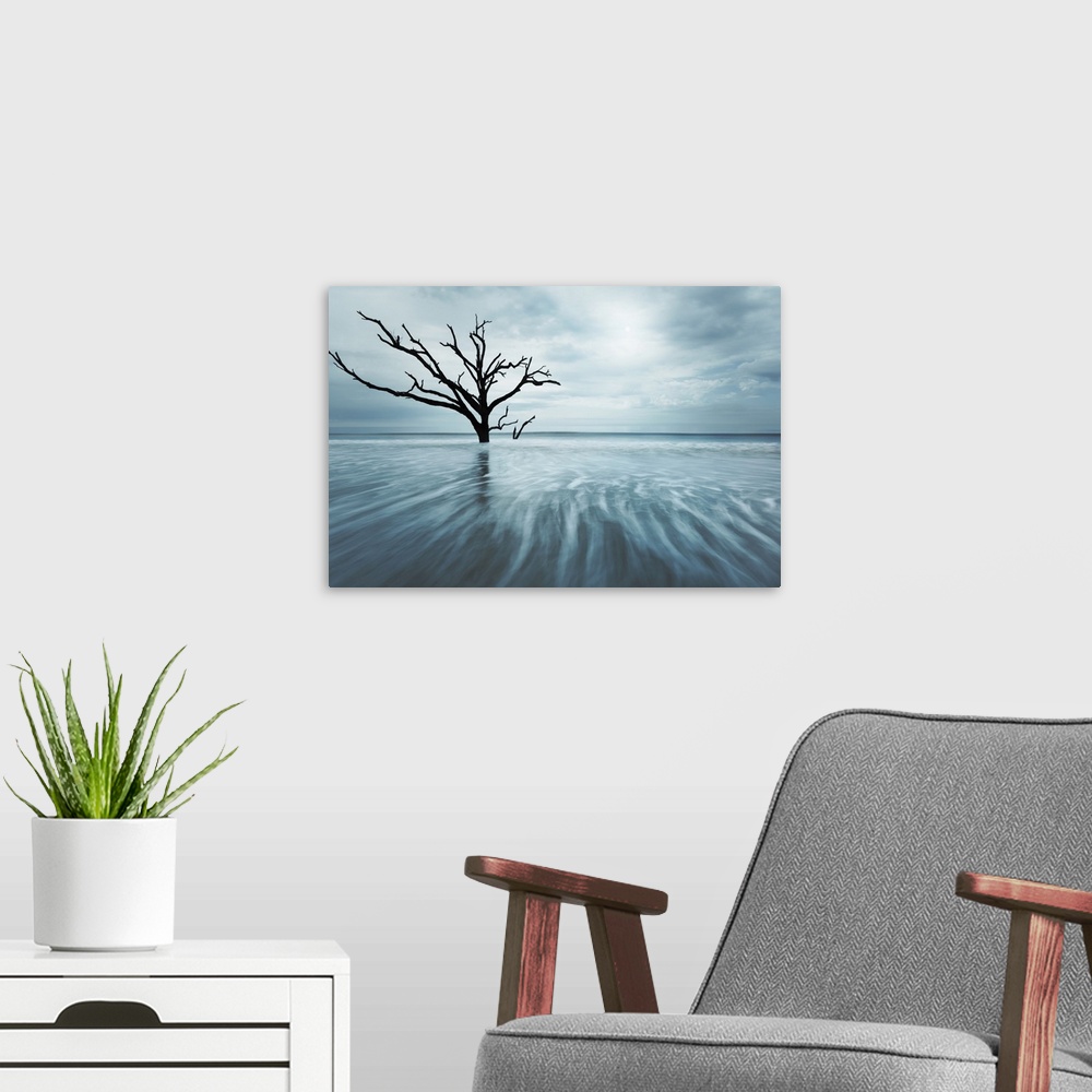 A modern room featuring An artistic photograph of a dead tree standing lone in shallow dark blue water under a cloudy omi...