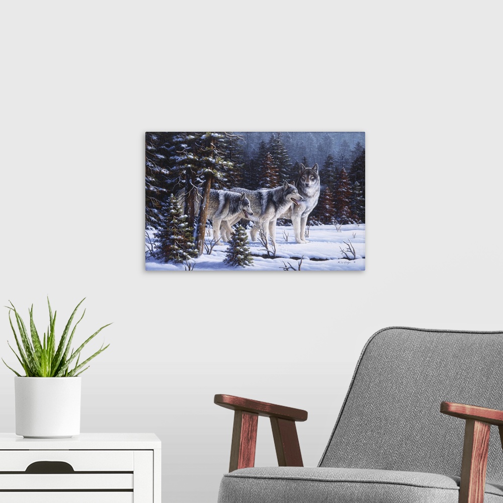 A modern room featuring Three wolves in the snow.