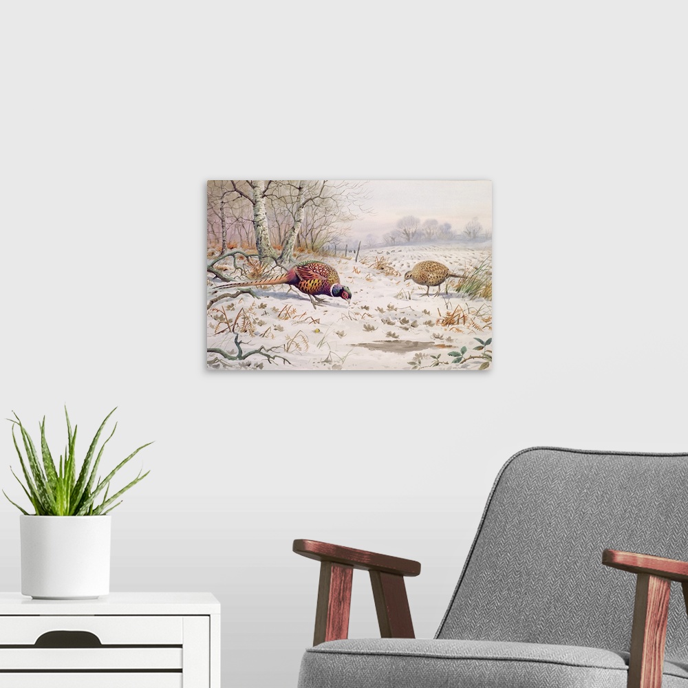 A modern room featuring Pheasant and Partridge Eating, originally watercolor on paper.