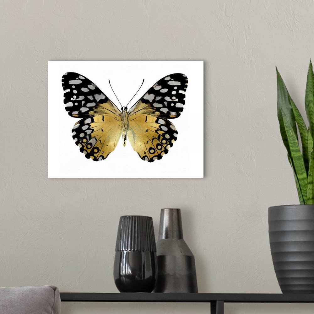 A modern room featuring Illustration of a gold, silver, and black butterfly on a white background.
