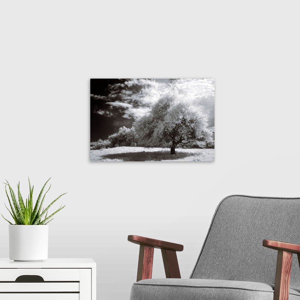 A modern room featuring An infrared photograph of a beautiful landscape with large clouds.