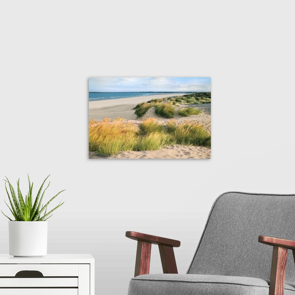 A modern room featuring Photograph of beach with grass covered dunes, on a cloudy day.
