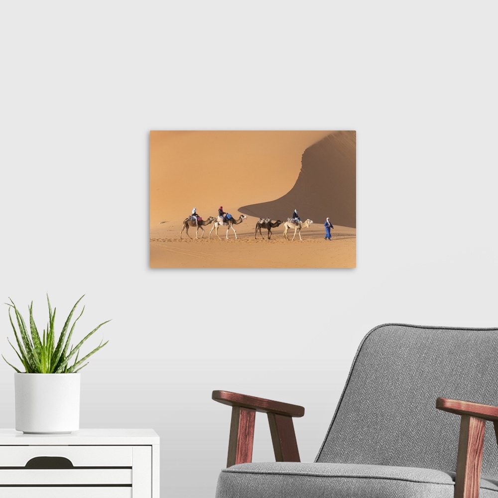 A modern room featuring Africa, Morocco. Tourists ride camels in Erg Chebbi in the Sahara desert.