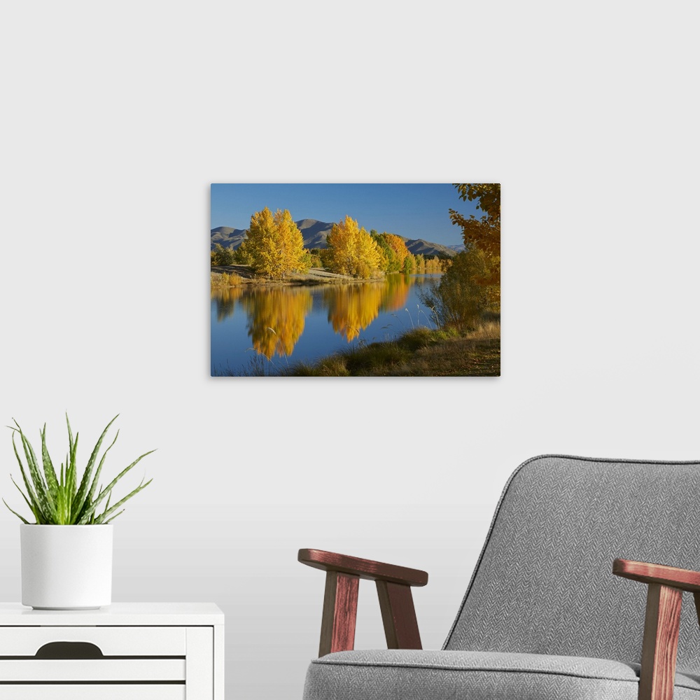 A modern room featuring Autumn reflections in Kellands Pond, near Twizel, Mackenzie District, South Canterbury, South Isl...