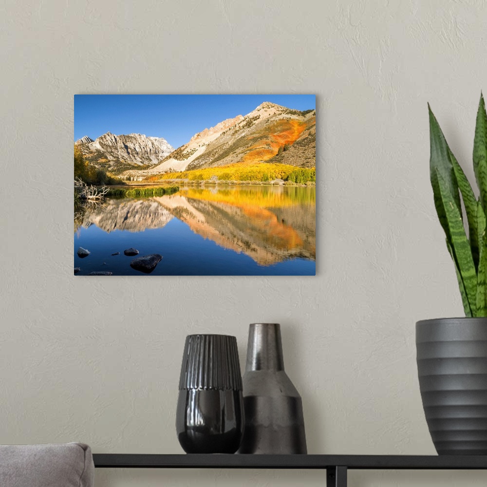 A modern room featuring USA, California, Eastern Sierra, Fall color reflected in North Lake