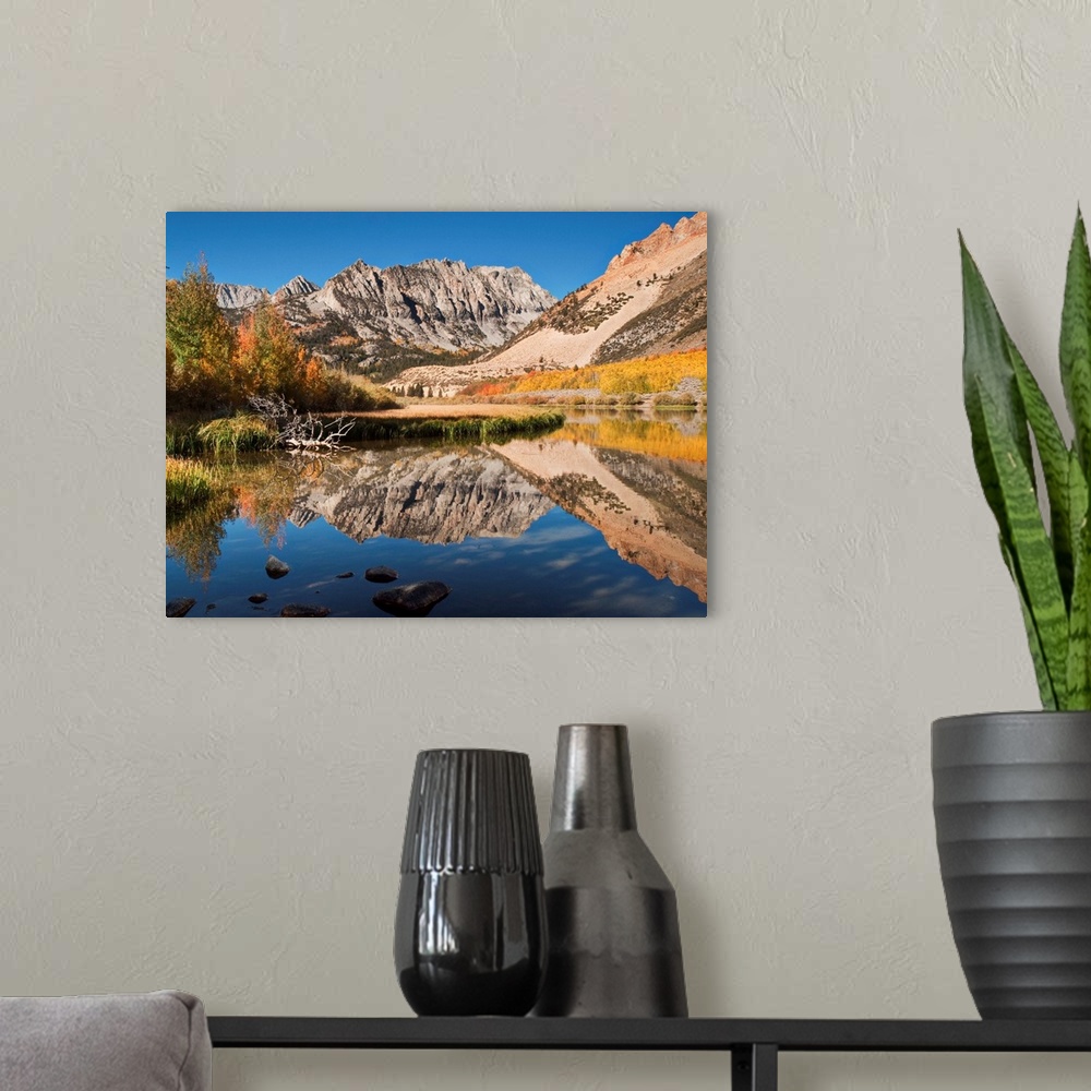 A modern room featuring USA, California, Eastern Sierra, Fall color reflected in North Lake