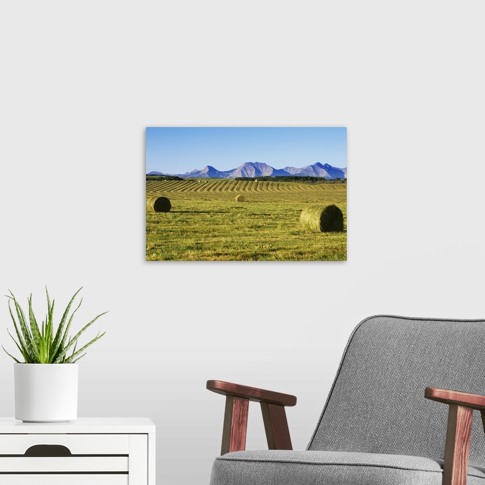 A modern room featuring Hay Harvest, Pincher Creek, Alberta, Canada