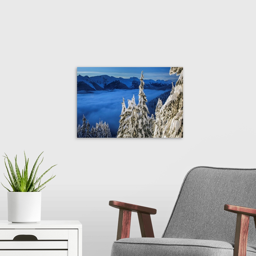A modern room featuring Canada, British Columbia. Callaghan Valley, Snow covered trees at last light.
