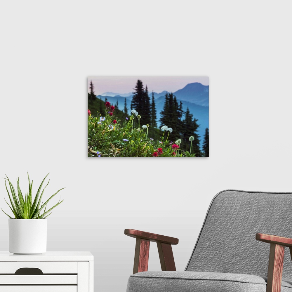 A modern room featuring Canada, British Columbia. Idaho Peak, alpine wildflowers blooming in the subalpine.