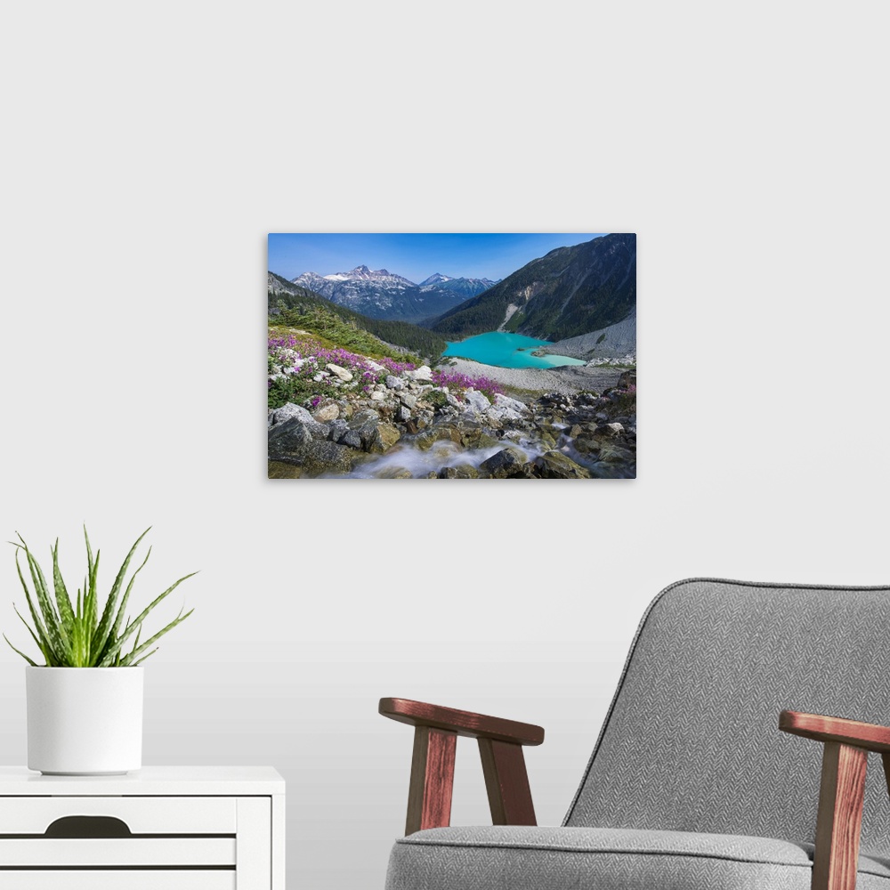 A modern room featuring Canada, British Columbia, Joffre Lakes Provincial Park. Meltwater stream flows past wildflowers i...