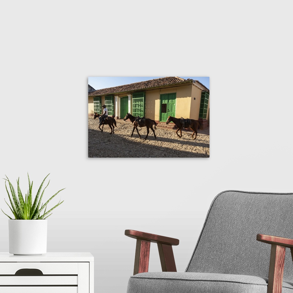 A modern room featuring Cuba, Trinidad. Pulling horses along cobblestone street.