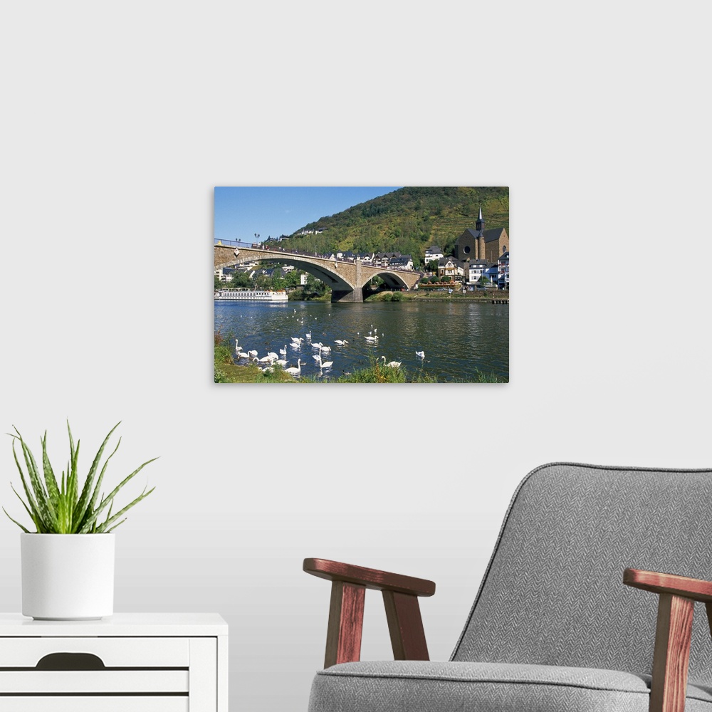 A modern room featuring Europe, Germany, Rhineland-Palatinate, Cochem, bridge across Mosel River with swans in the foregr...