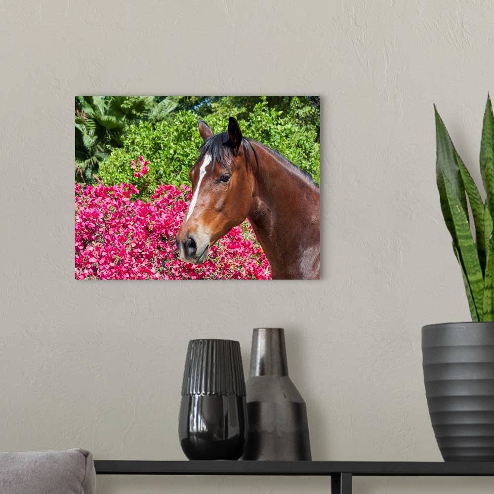 A modern room featuring Horse posing