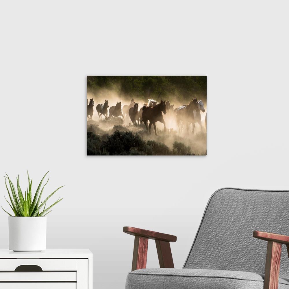 A modern room featuring Horses being herded by a wrangler, backlit at sunrise