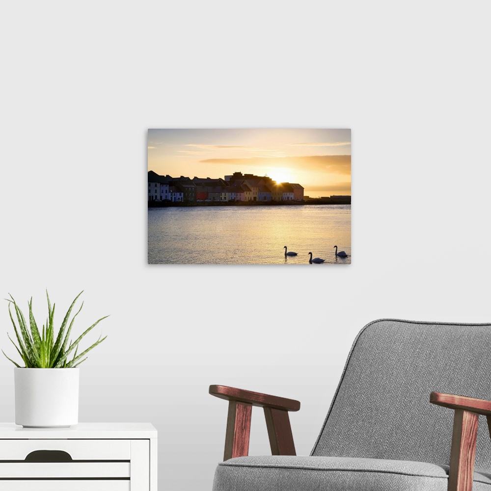 A modern room featuring Europe, Ireland, Claddagh. Sunrise on town and swans on Galway Bay. Credit as: Dennis Flaherty / ...