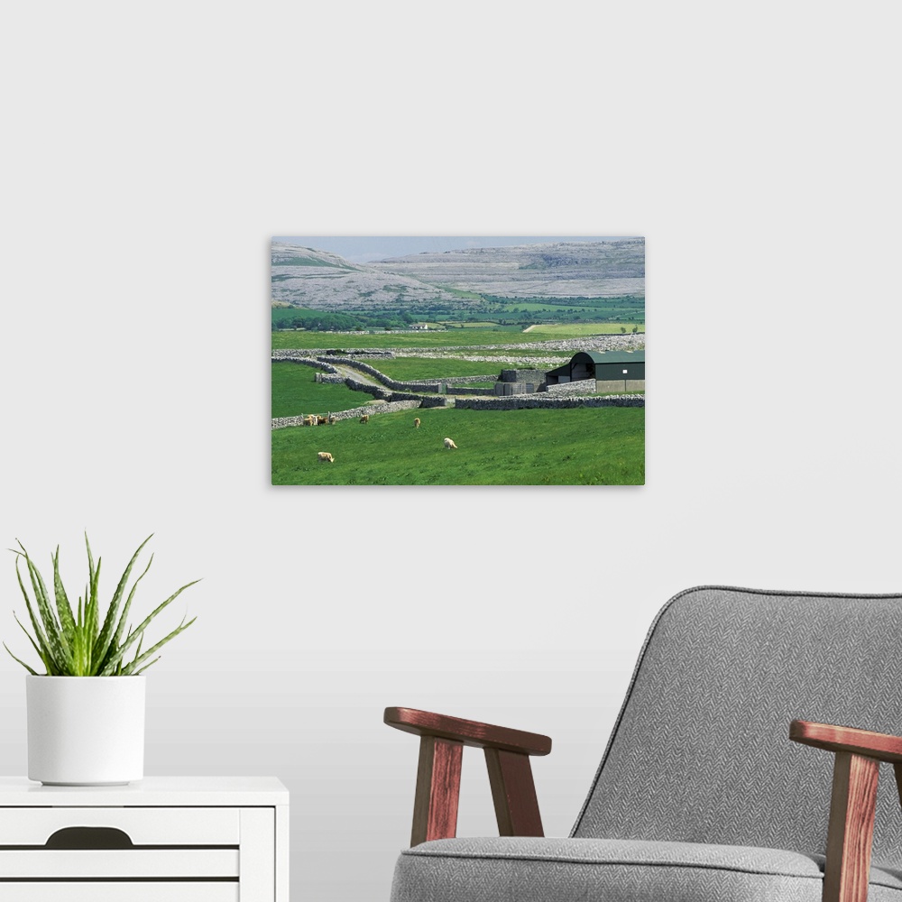 A modern room featuring Europe, Ireland, County Clare. The Burren