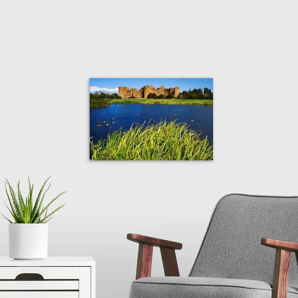 A modern room featuring Europe, Ireland, Roscommon. View of ruins of Roscommon Castle and ducks on pond. Credit as: Denni...