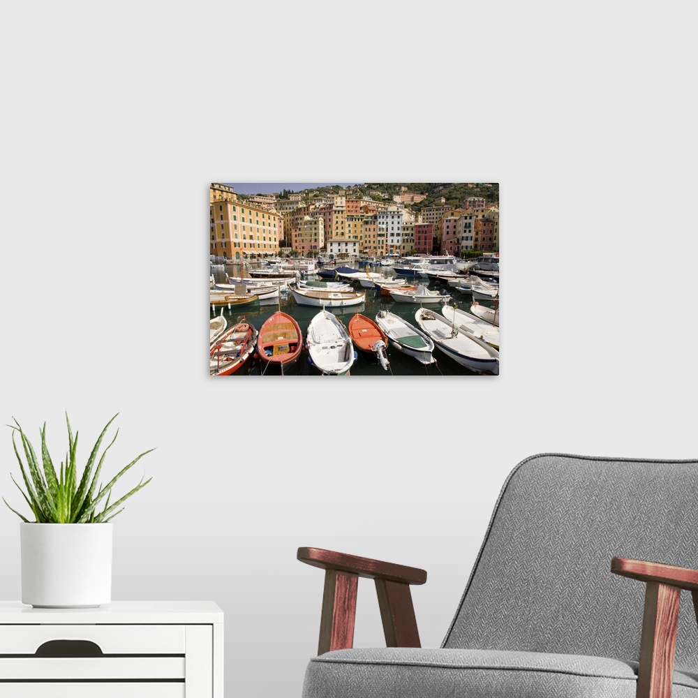 A modern room featuring Europe, Italy, Camogli.  Boats moored in harbor with colorful town buildings in background.