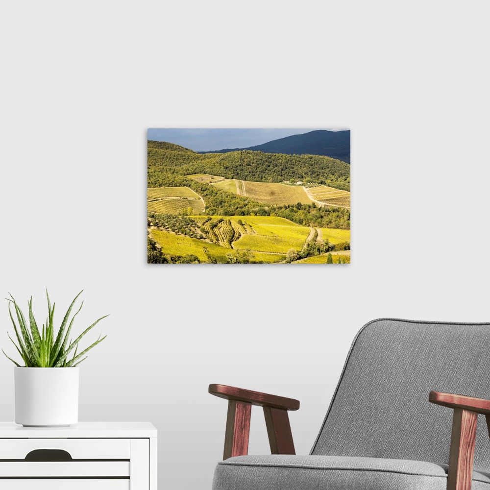 A modern room featuring Italy, Tuscan valley in autumn.