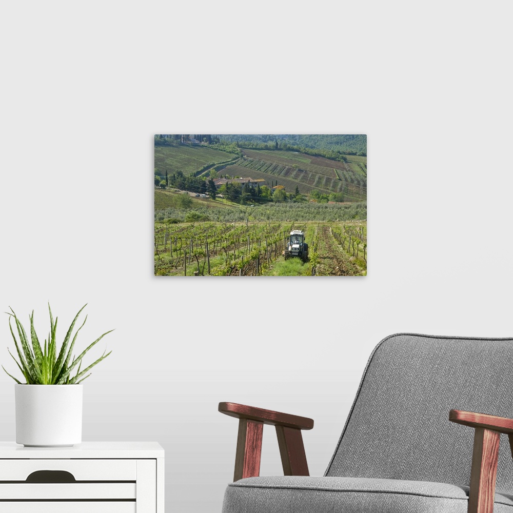A modern room featuring Italy, Tuscany, Chianti region. Tractor in the vineyard.