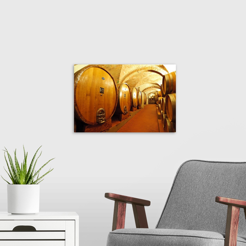 A modern room featuring Europe, Italy, Tuscany, Greve. The wine cellar in at Castello di Gabbiano.