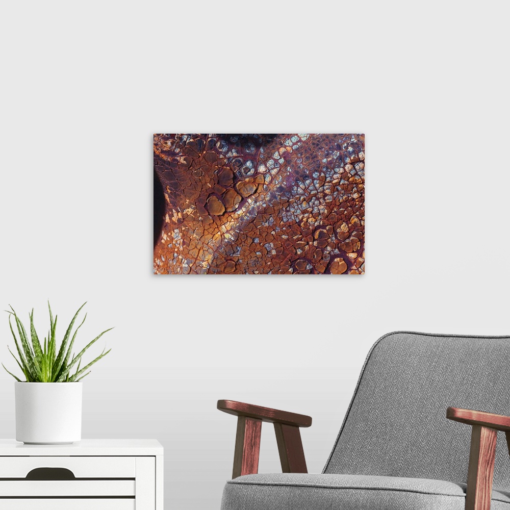 A modern room featuring Layers of worn auto paint abstract.