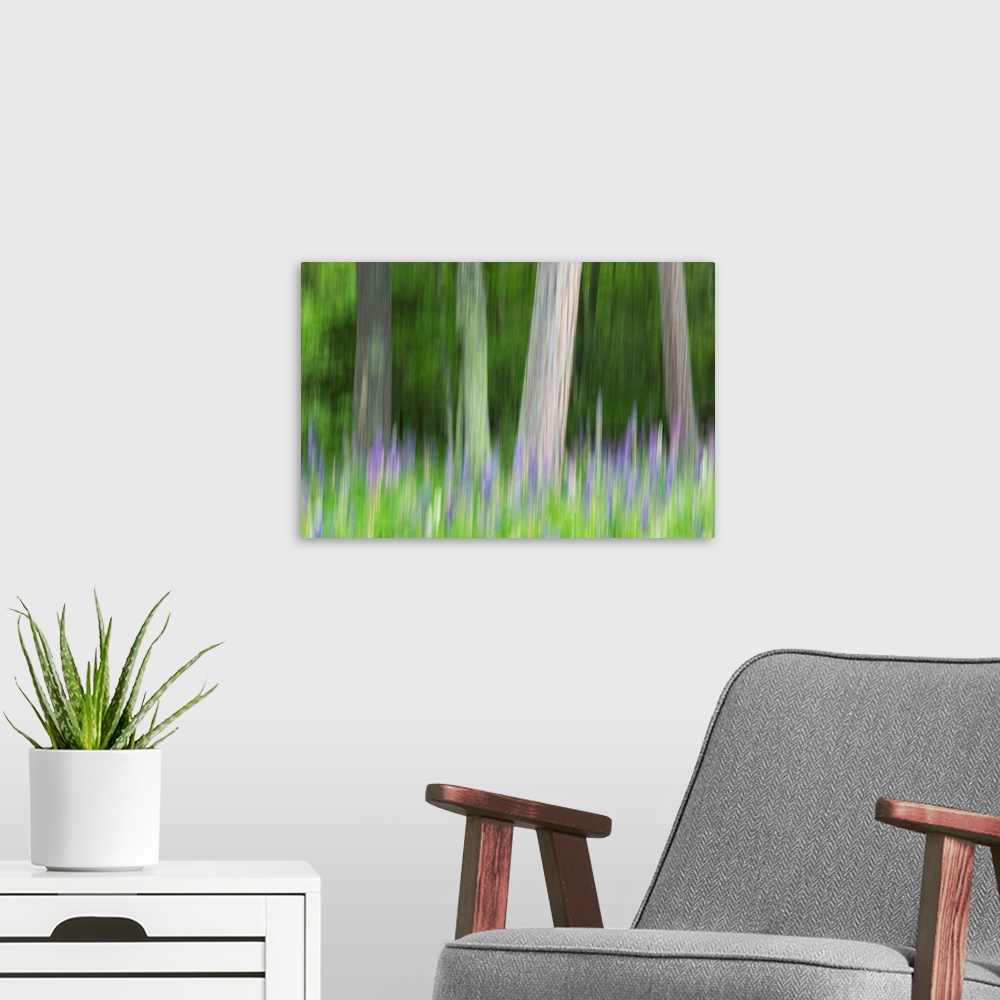 A modern room featuring Abstract artistic blur of trees and lupine blossoms. USA, Wisconsin.