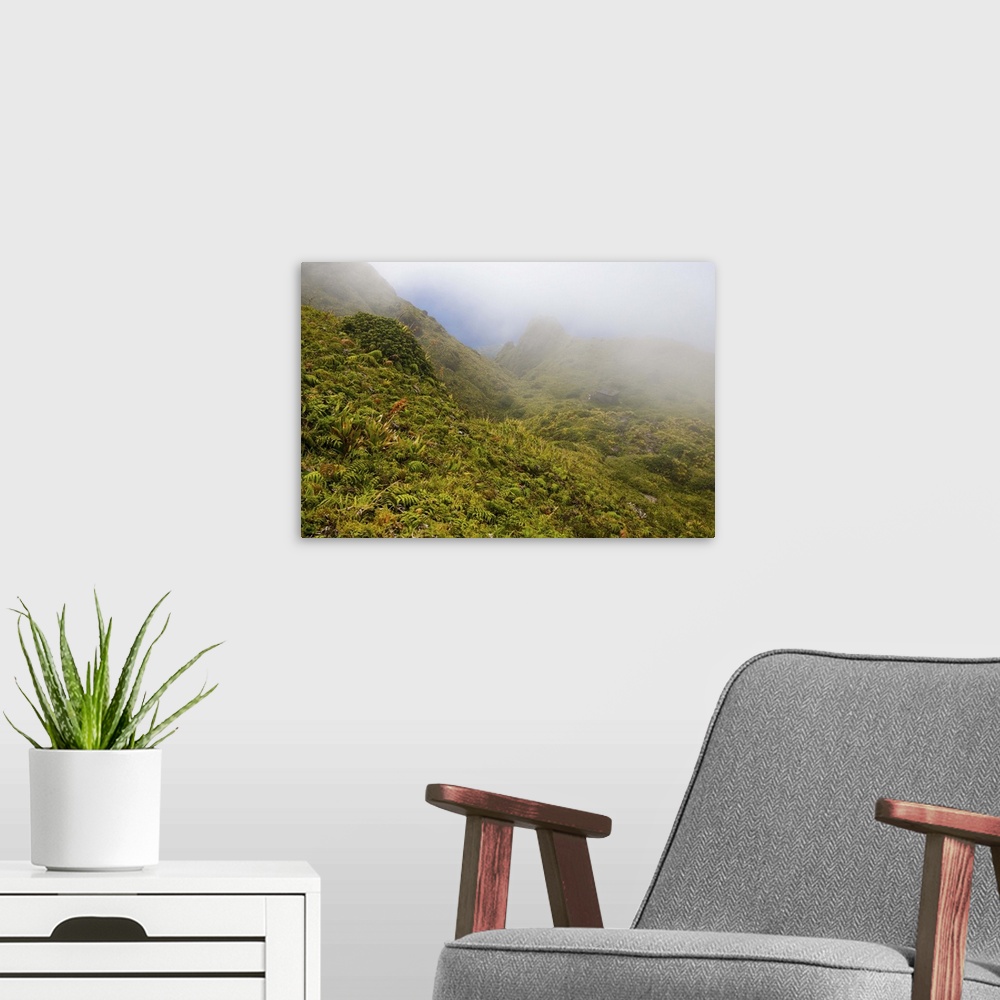 A modern room featuring MARTINIQUE. French Antilles. West Indies. Fog blows across sopes near summit of Mt. Pel..e. Low-g...