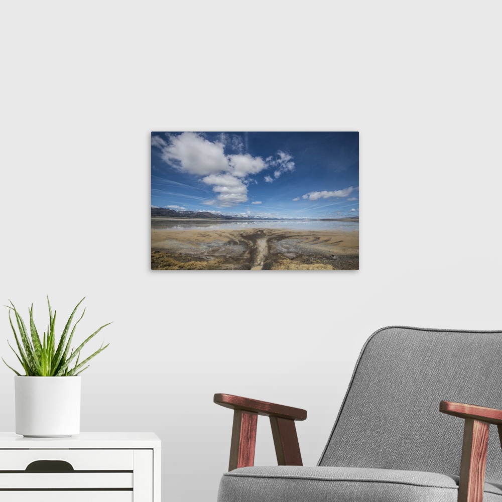 A modern room featuring Middle Alkali Lake, California, Hwy 299.