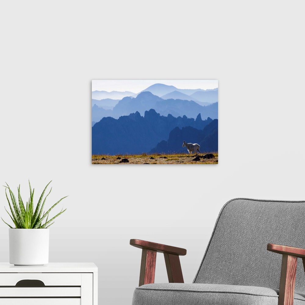 A modern room featuring Mountain Goat, Cascade Mountain Range