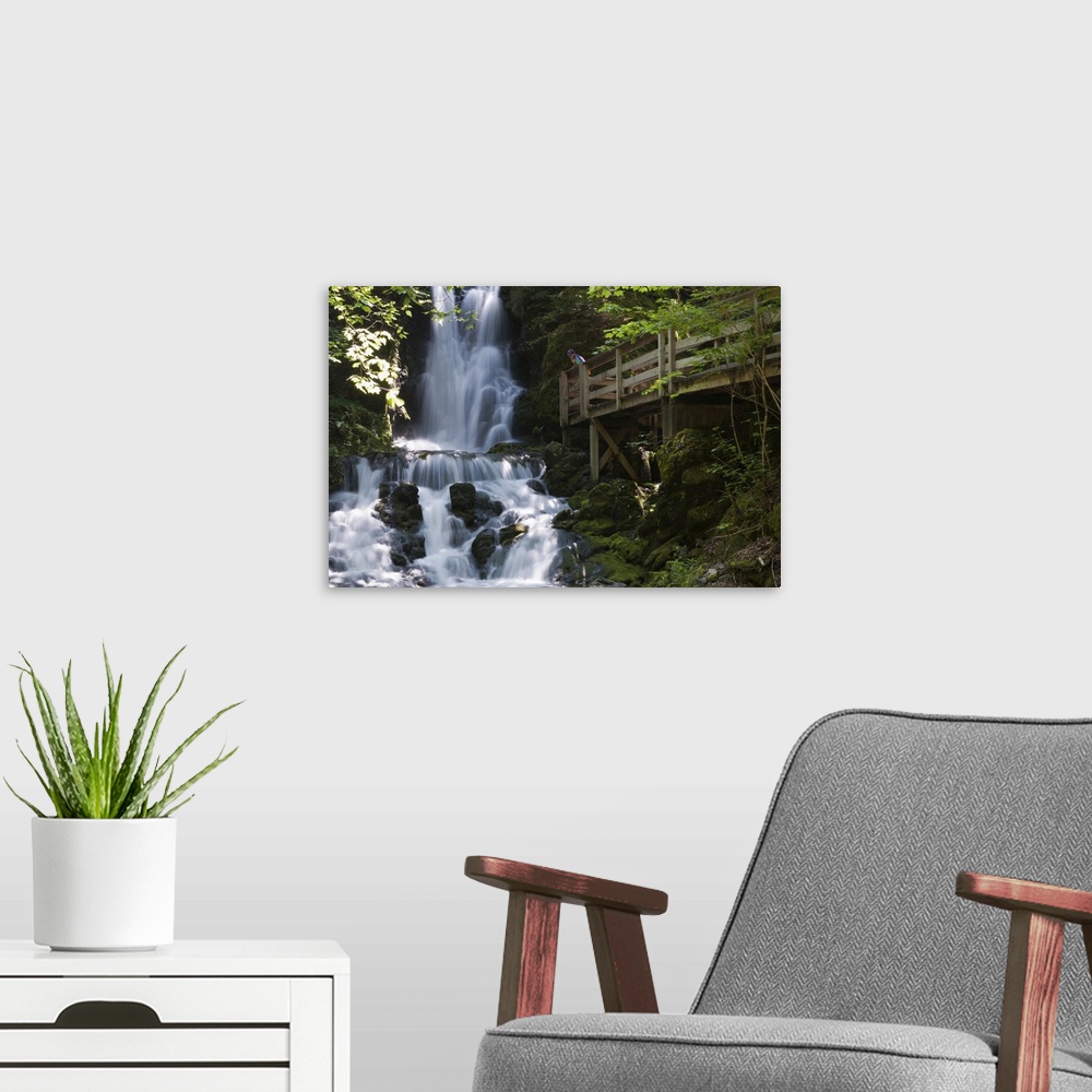 A modern room featuring New Brunswick, Canada. Dickson Falls in Fundy National Park.