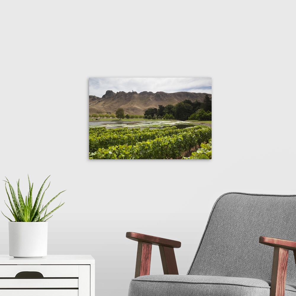 A modern room featuring New Zealand, North Island, Hawkes Bay, Havelock North, Te Mata Peak, view from vineyards