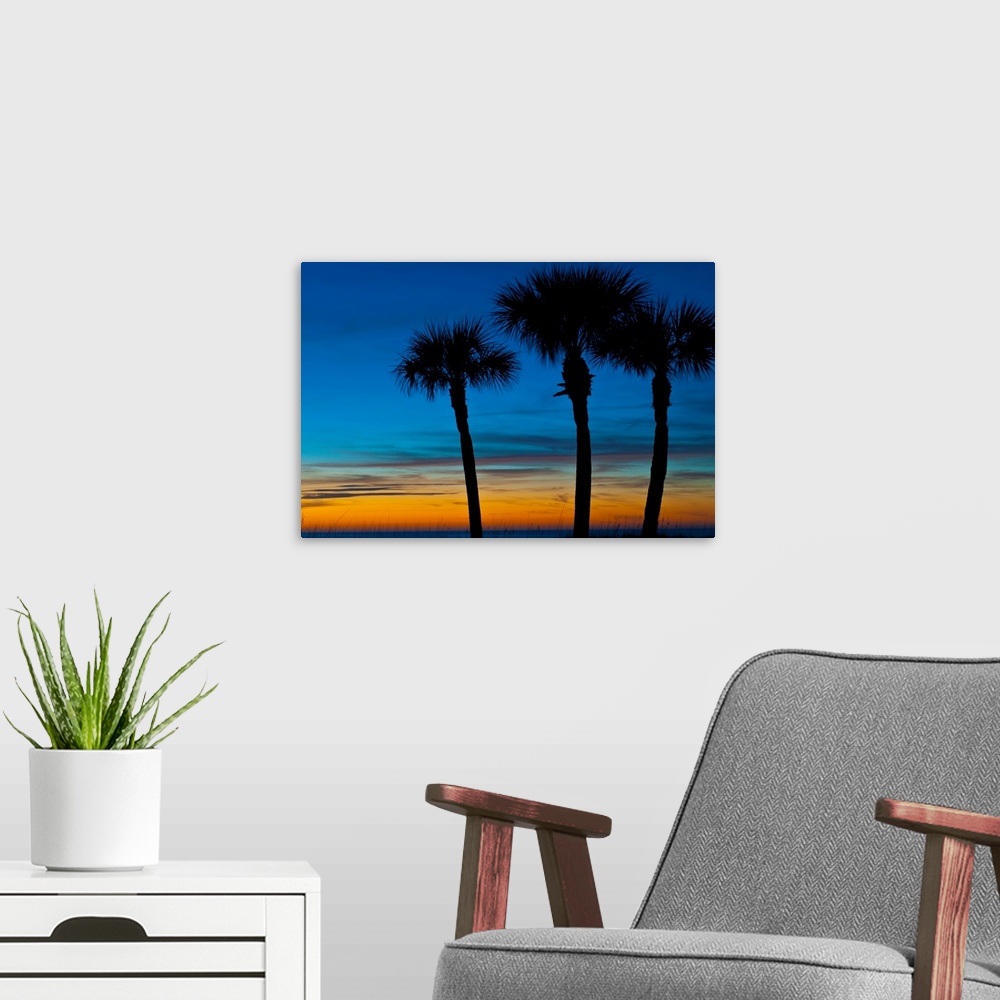 A modern room featuring North America, USA, Florida, Sarasota, Crescent Beach, Siesta Key, Sunset and Palm Trees
